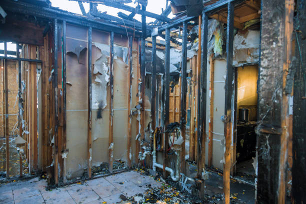 Professional Fire Damage Removal technician working in Childersburg, AL